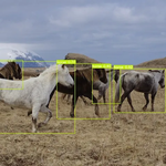 How to create an object detection project from scratch to deploy?